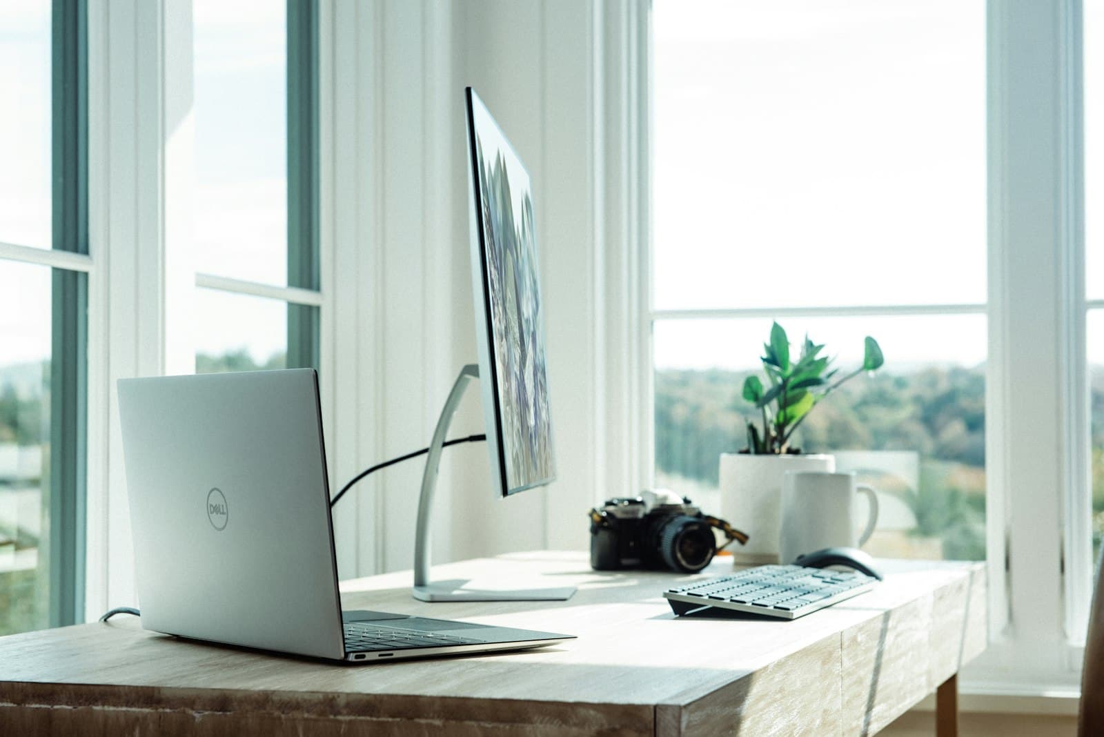 Diseño y desarrollo web — Negocios locales — Costa Blanca Sur